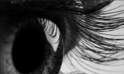 معجزة طبية.. علماء يطورون علاجا يعيد البصر المفقود